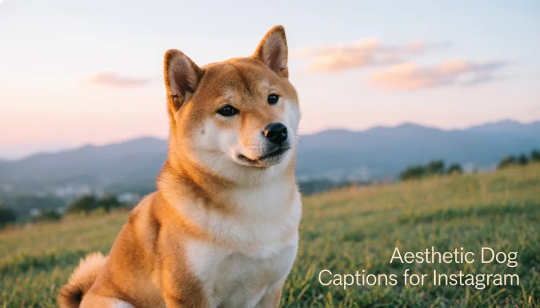 Aesthetic Dog Captions for Instagram