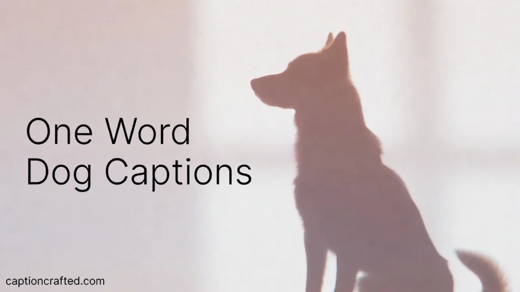 Short Dog Captions One Word 