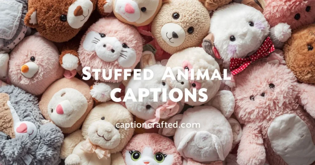 Stuffed Animal Captions