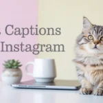 cat captions for instagram