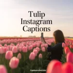 Tulip Instagram Captions